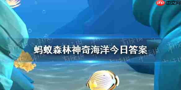 东海和南海哪个面积更大 神奇海洋1月23日答案