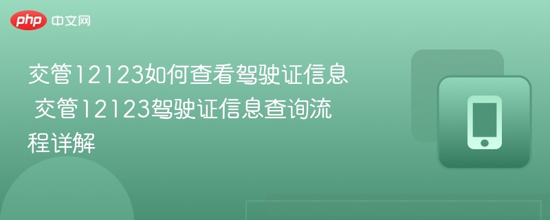 交管12123如何查看驾驶证信息 交管12123驾驶证信息查询流程详解 - 98游戏