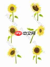 cdr如何绘制向日葵花朵矢量图