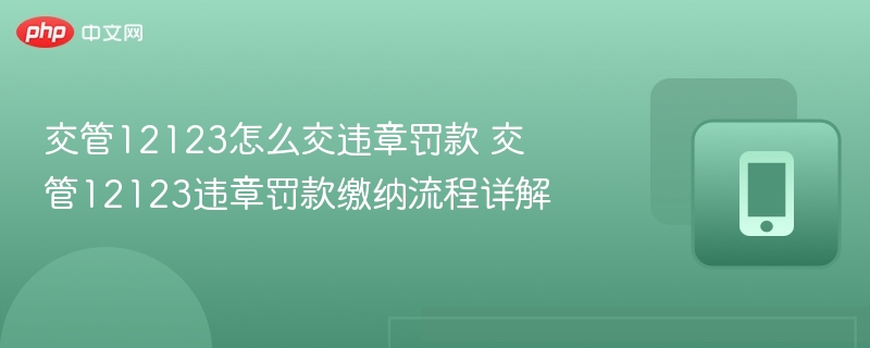 交管12123怎么交违章罚款 交管12123违章罚款缴纳流程详解 - 98游戏