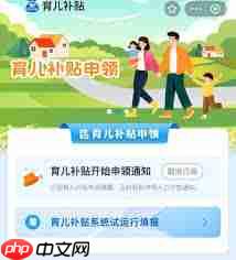育儿补贴如何线上申请