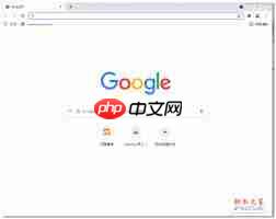 如何开启谷歌浏览器安全模式