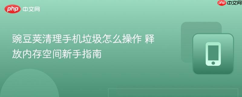 豌豆荚清理手机垃圾怎么操作 释放内存空间新手指南