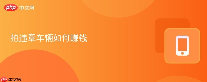 拍违章车辆如何赚钱