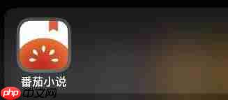 番茄小说如何注册作者号