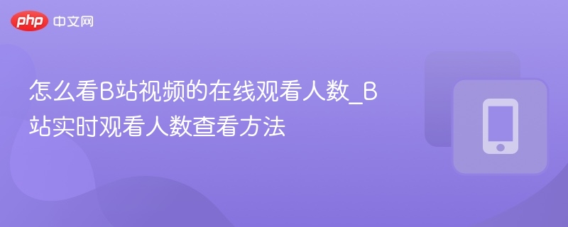 怎么看b站视频的在线观看人数_b站实时观看人数查看方法 - 98游戏