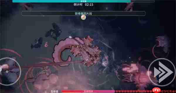 辐射之海超远攻击流玩法攻略分享