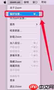 如何开启Zoom自动调整音量