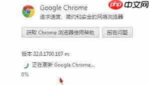 谷歌浏览器怎么检查更新