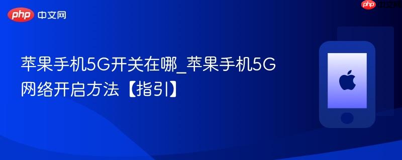 苹果手机5g开关在哪_苹果手机5g网络开启方法【指引】