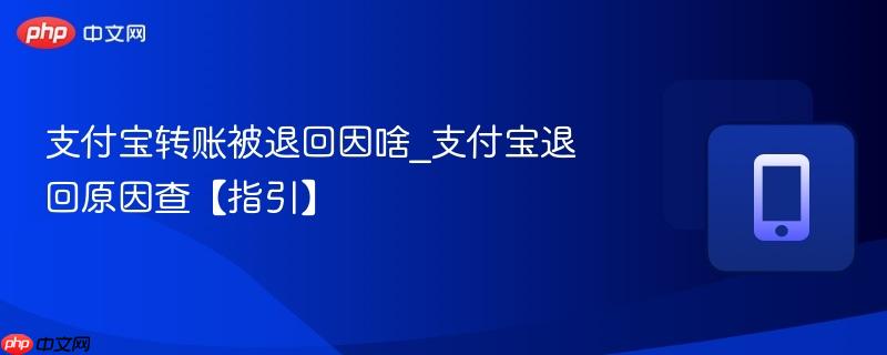 支付宝转账被退回因啥_支付宝退回原因查【指引】