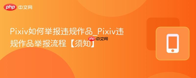 pixiv如何举报违规作品_pixiv违规作品举报流程【须知】