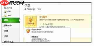 如何启用activex控件