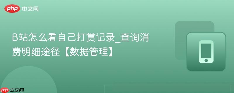 b站怎么看自己打赏记录_查询消费明细途径【数据管理】