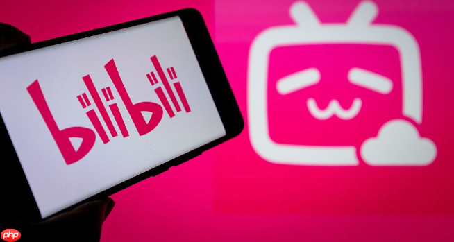 哔哩哔哩免登录入口-哔哩哔哩免费进入在线观看视频