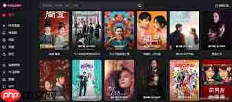 哪些视频网站能在线看