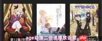 age动漫如何加速播放