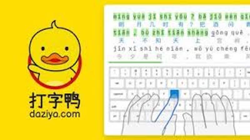 打字鸭官网入口 打字鸭在线打字网站登录页面 - 98游戏