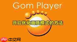 GOMPlayer怎么启用调节视频大小功能