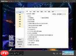 GOMPlayer怎么启用调节视频大小功能