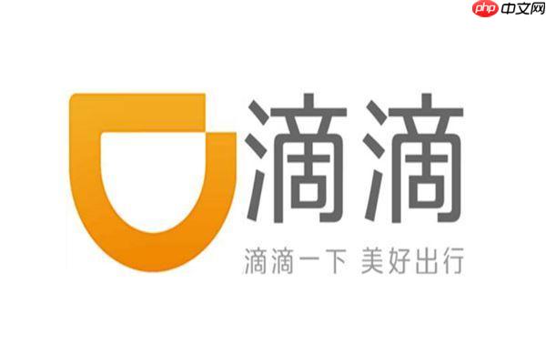 滴滴2025年度账单怎么查 滴滴出行年度报告查看方法