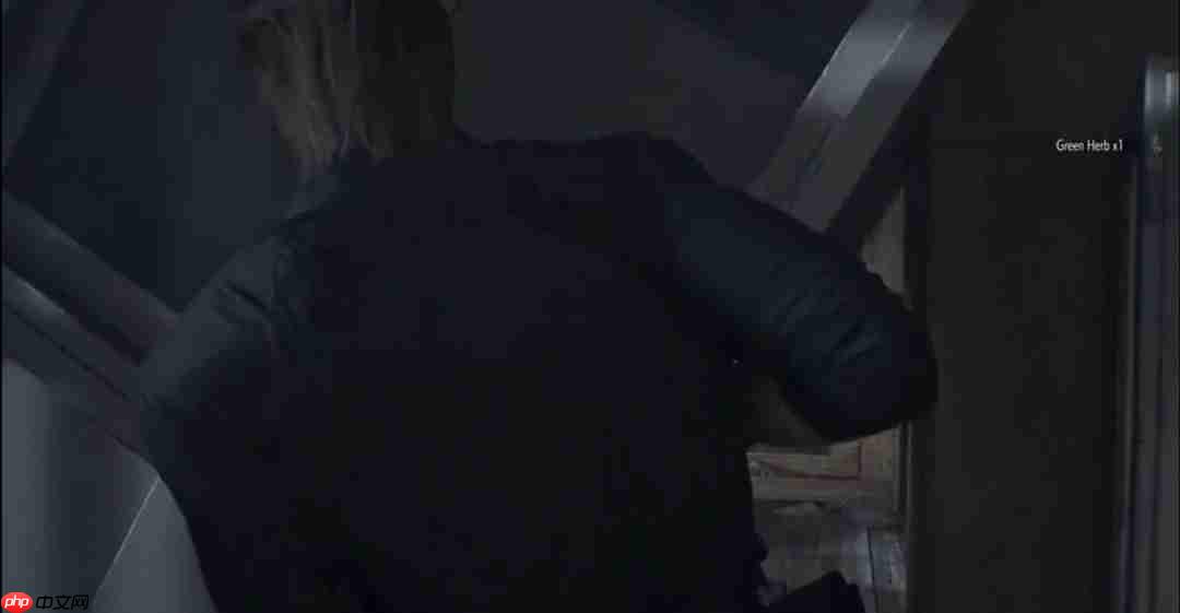 老男人太棒了！ 《生化危机9》健硕里昂形象令粉丝为之疯狂