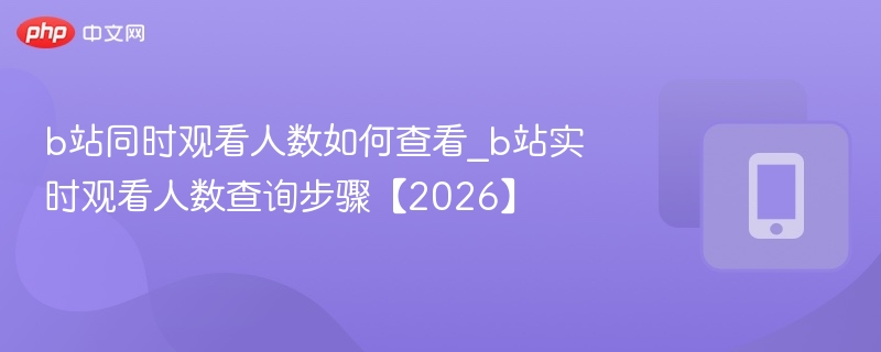 b站同时观看人数如何查看_b站实时观看人数查询步骤【2026】 - 98游戏