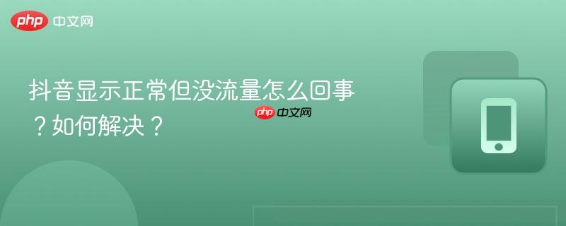 抖音显示正常但没流量怎么回事?如何解决?