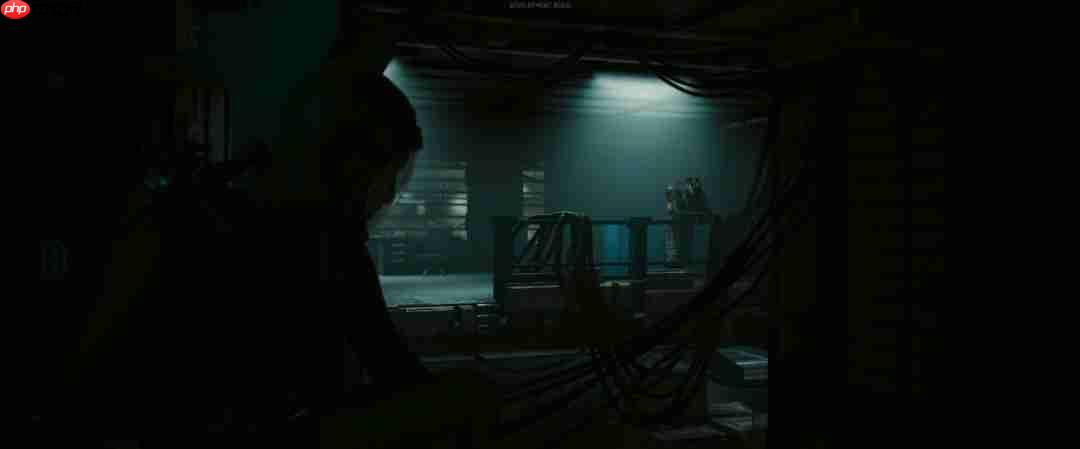 CDPR创意总监发布《往日之影》截图 暗示续作过场仍为第一人称