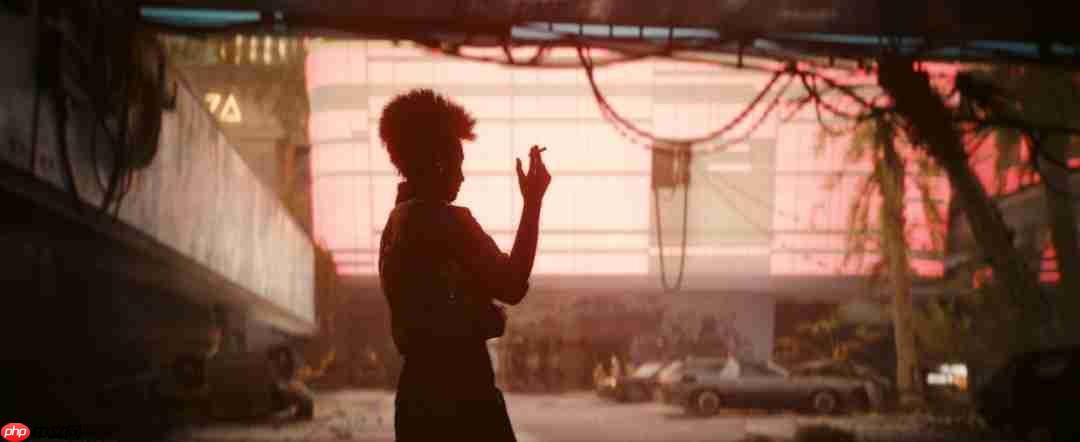 CDPR创意总监发布《往日之影》截图 暗示续作过场仍为第一人称