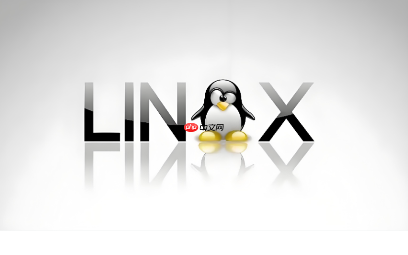 Linux有了Linus Torvalds接班计划 以防意外发生