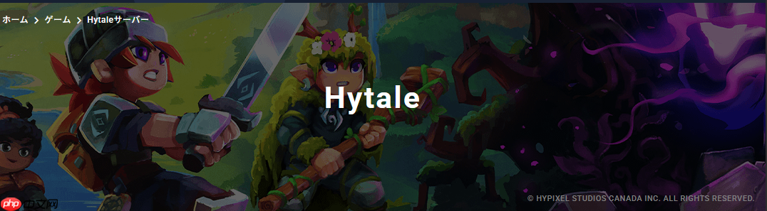 免费多人游戏服务XServer GAMEs已经支持《Hytale》