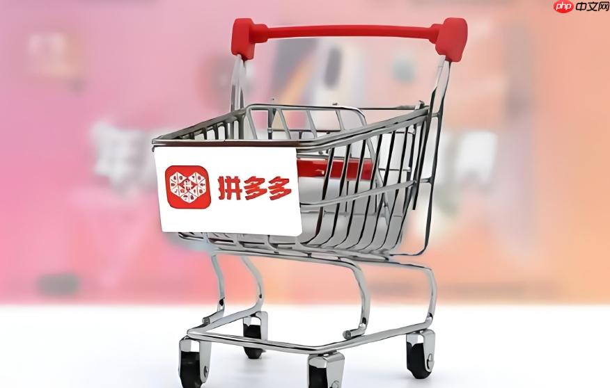 拼多多商家电脑版官网_拼多多商家电脑版官网地址及下载指南