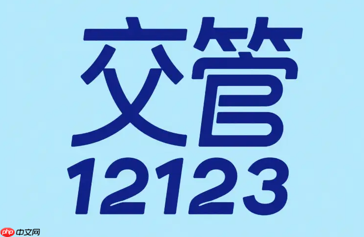 交管12123网页版官网访问 交管12123网页版一键查询入口
