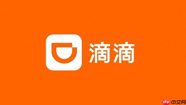 2025滴滴年度报告统计时间范围 滴滴出行年度数据怎么算的