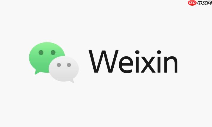 微信网页版登录网址 微信网页版入口官网