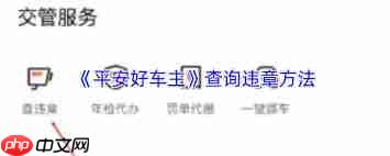 平安好车主如何查违章