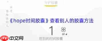 hope时间胶囊如何查看他人胶囊