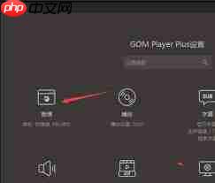 GOMPlayer如何设置仅打开选择的文件