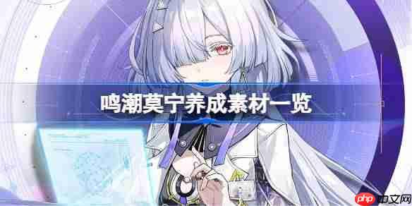 鸣潮莫宁养成素材一览-鸣潮莫宁素材有哪些