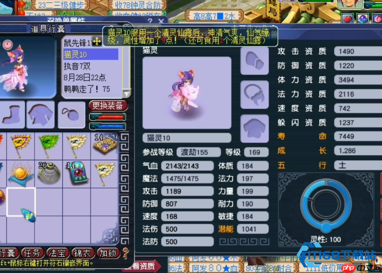 全力猫灵成为神宠的五大秘密