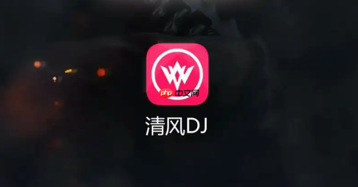 清风dj好听的外文舞曲 清风dj官网最新入口