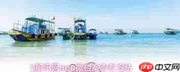 船讯网app如何查看微档案