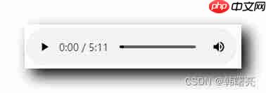 HTML音频播放器标签有哪些
