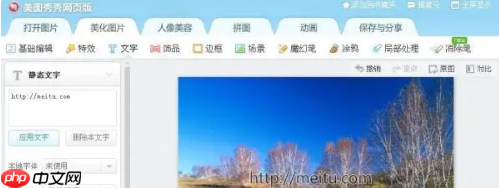 美图秀秀网页版文字水印怎么添加-文字水印添加方法