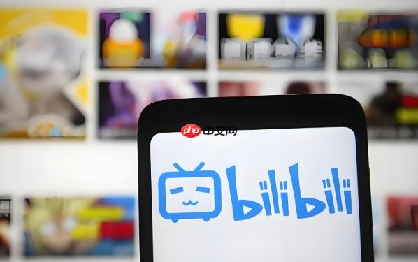 bilibili官方网站首页直达 bilibili平台视频网站官方主页入口