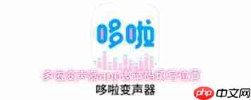 多啦变声器如何输入邀请码