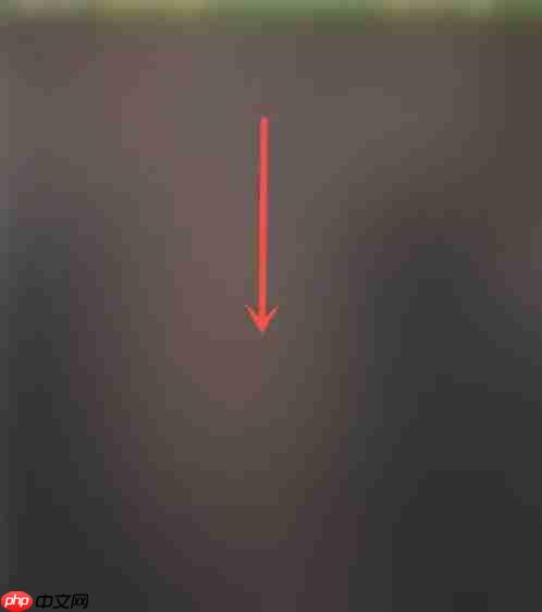 抖音直播专业版手机入口在哪里-抖音直播专业版手机入口