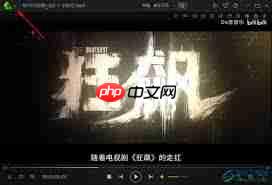 爱奇艺万能播放器如何设置记忆播放