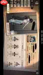 疯读极速版如何查看隐私